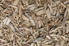 biomass boilers Verwood